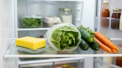 En svamp i kylskåpet: ett enkelt knep som används av erfarna hemmafruar