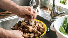 Rätt sätt att tvätta svamp: vad som påverkar texturen och stektiden