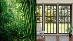Inget behov av glas längre? Kina testar fönster tillverkade av transparent bambu