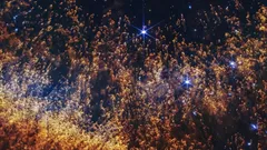 James Webb-rymdteleskopet har avslöjat den hittills mest detaljerade bilden av Helixnebulosan.