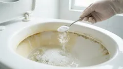 En enkel kvällsrutin som tar bort lukt och kalkavlagringar i toaletten