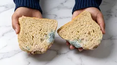 Kan man äta en matvara om man bara skär bort möglet?