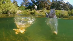 Blanda grundfoder på rätt sätt: 5-minuterskontroll så att det äntligen börjar nappa igen