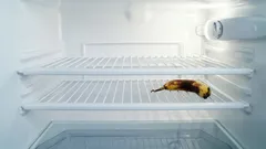 Ett tomt kylskåp löser inte problemet: de livsmedel vi onödigt har uteslutit