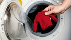 Så räddar du en krympt ulltröja efter tvätten – steg för steg