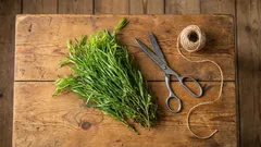 Denna doftande ört förändrar radikalt smaken på en rätt – men används ofta felaktigt.