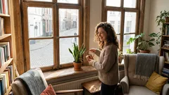 Din första ficus och mer: 7 bästa inomhusväxter för nybörjare